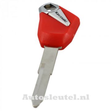 Kawasaki motorsleutel rood - sleutelbaard punt (model 2)